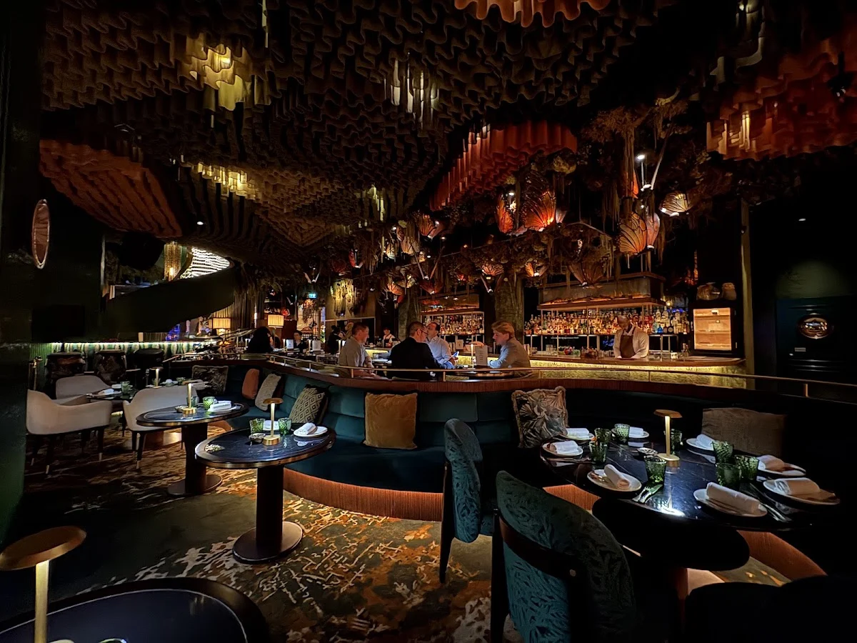Amazónico Dubai - 5