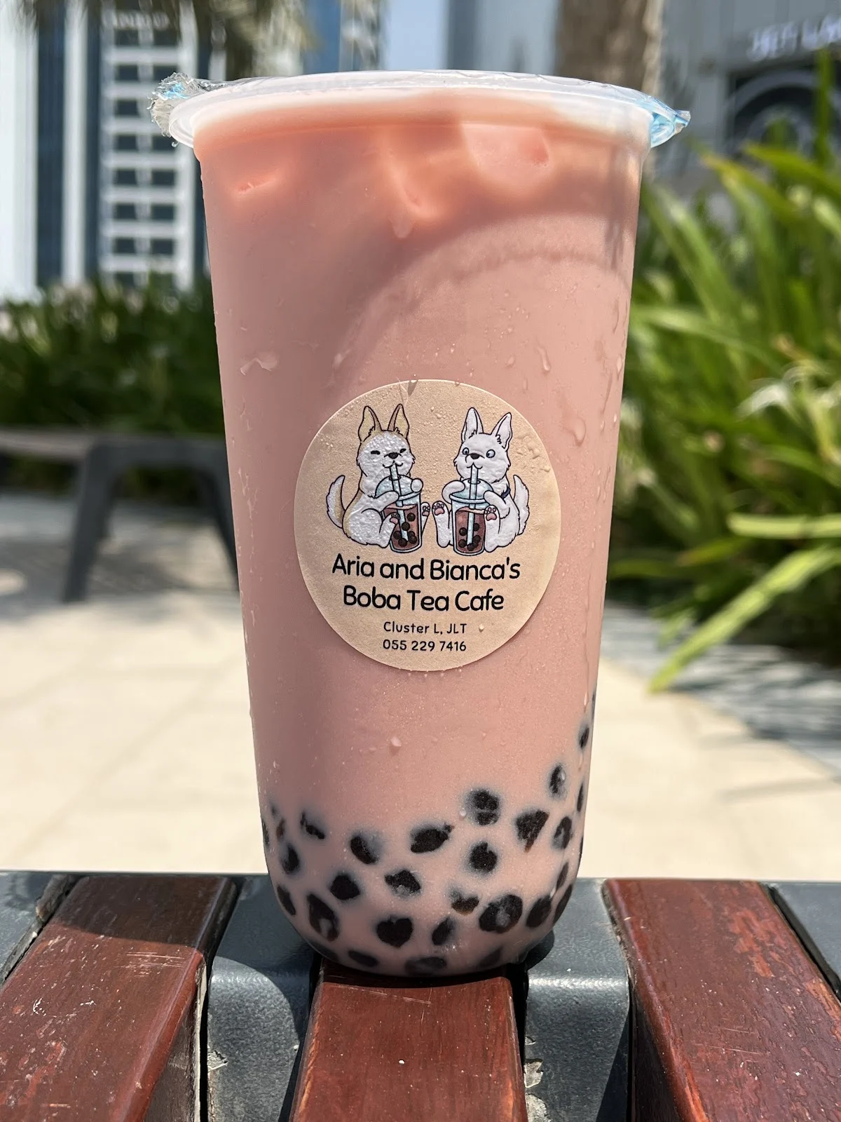 Aria and Bianca’s Work Cafe - 3