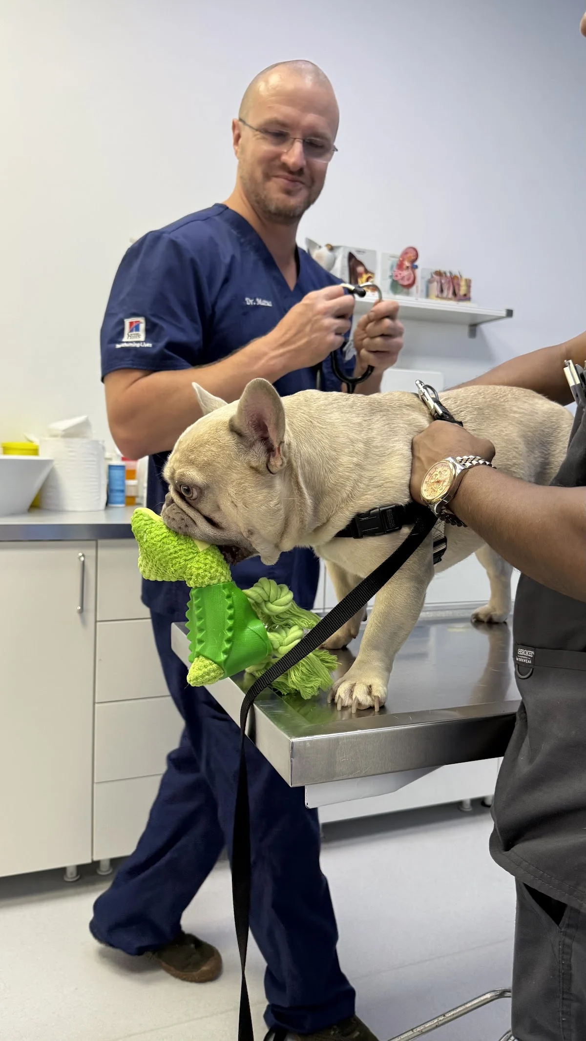 Blue Oasis Vet