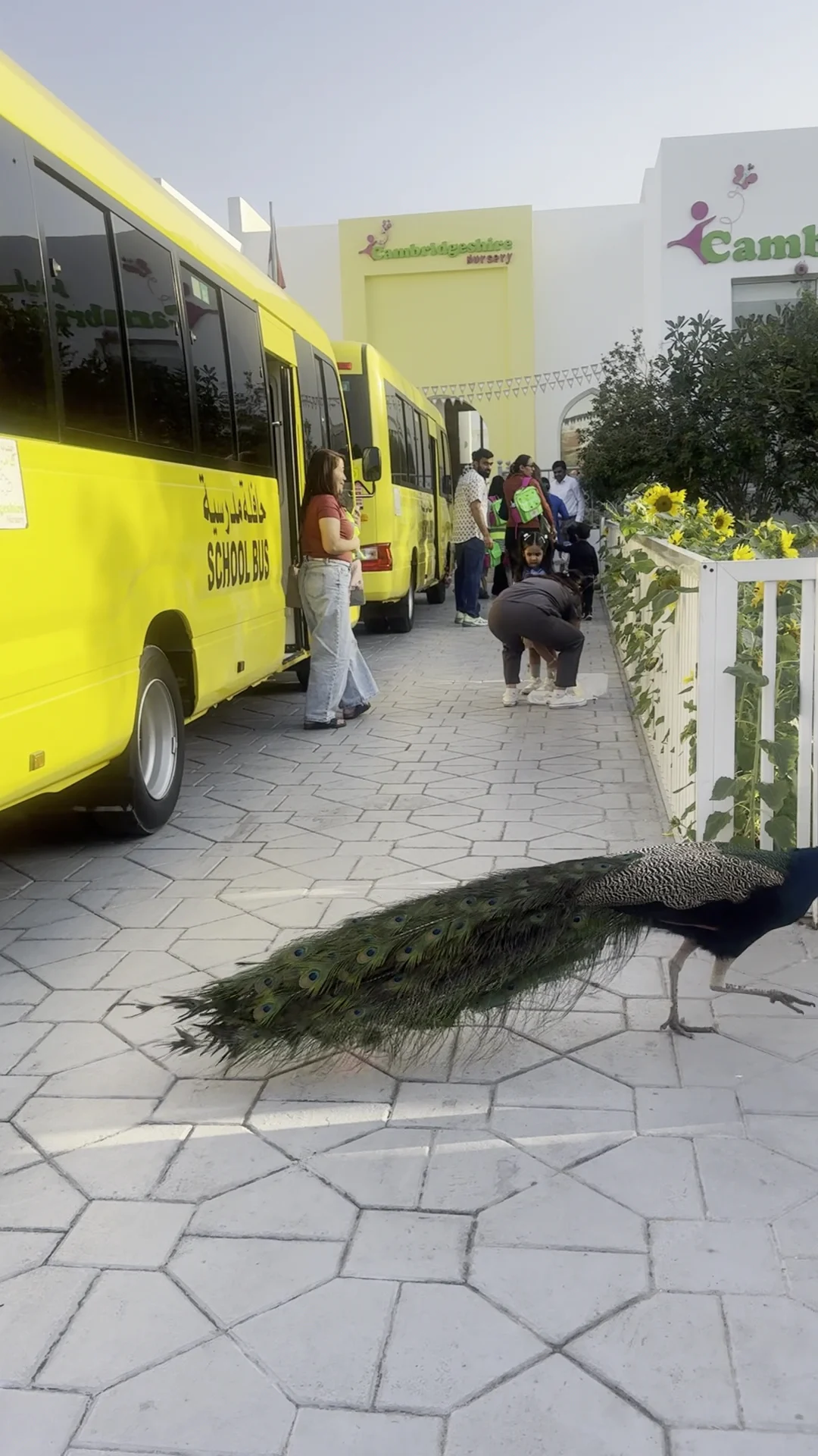 Cambridgeshire Nursery - 4