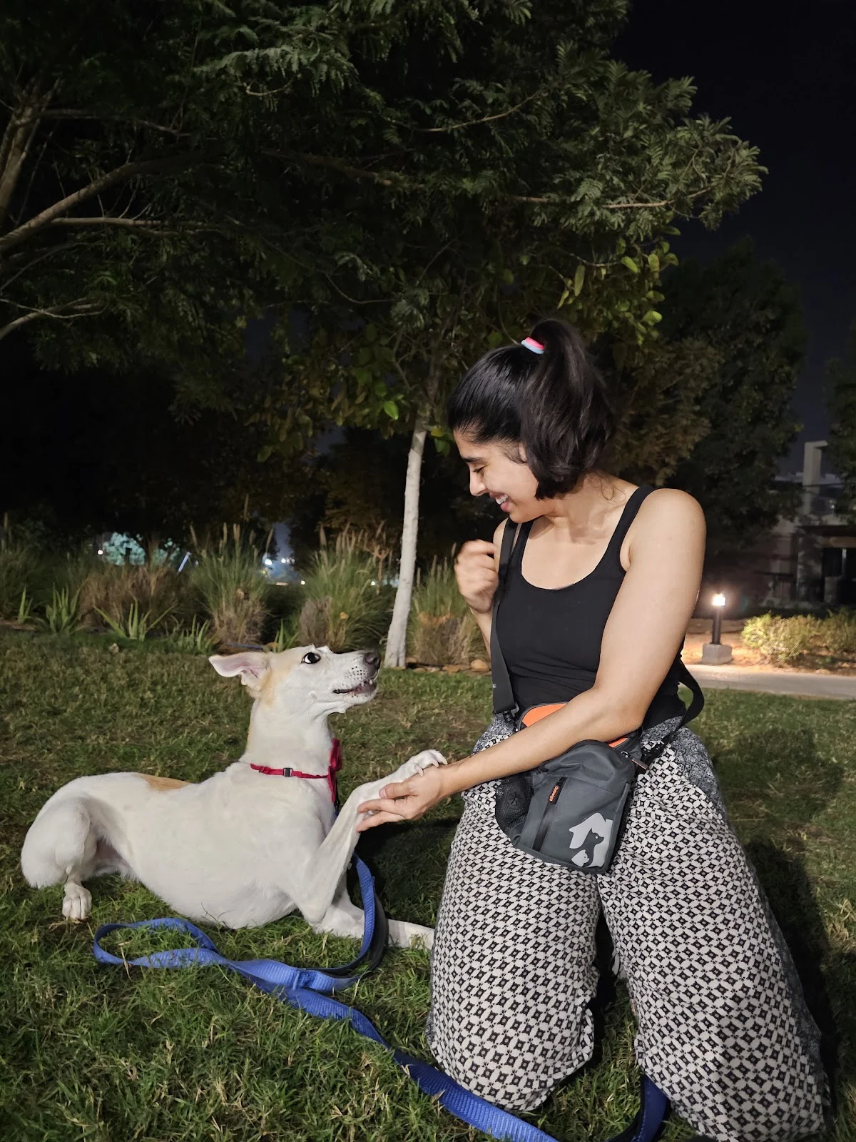 Canine Campus UAE