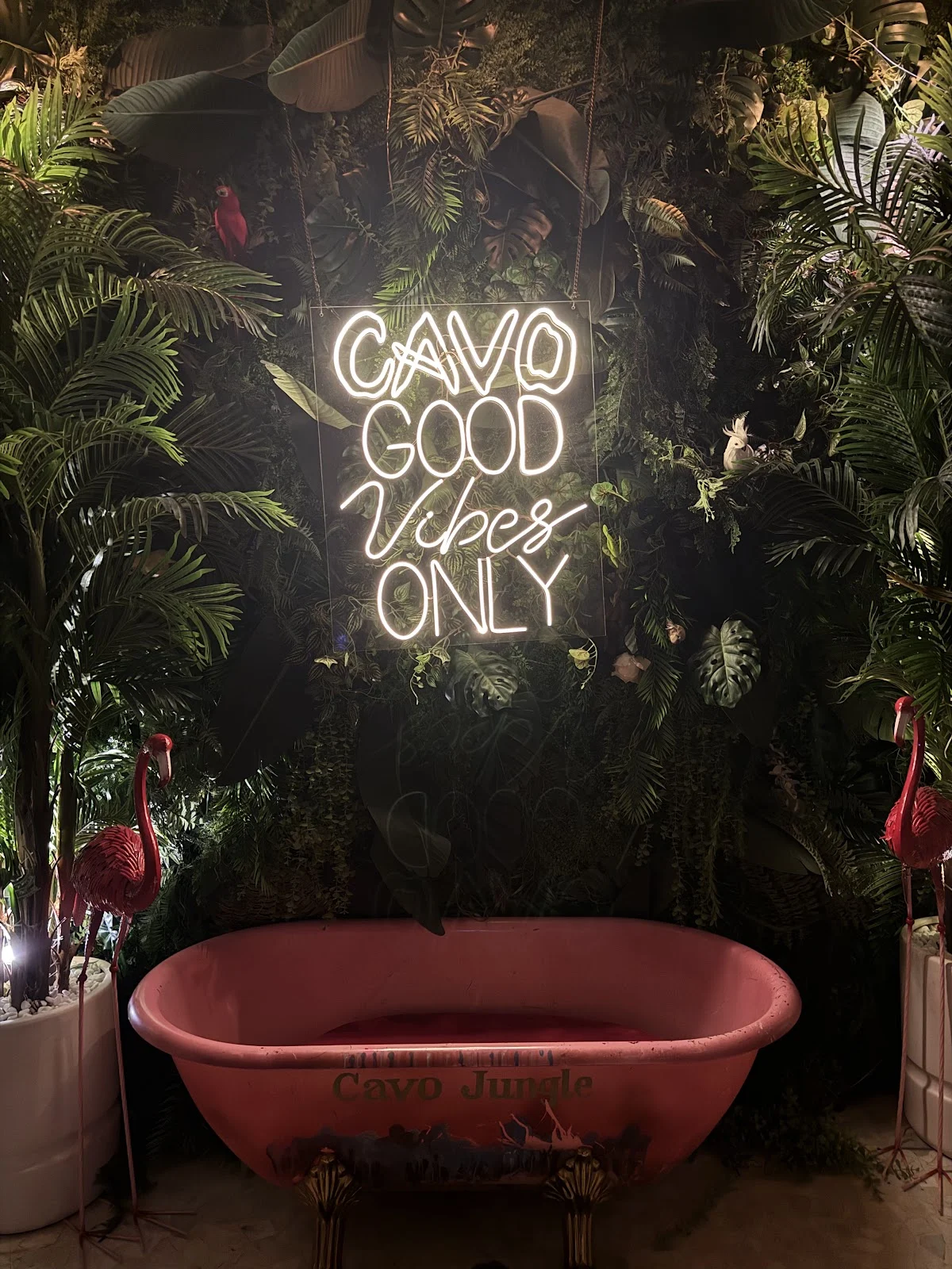 Cavo Lounge Dubai
