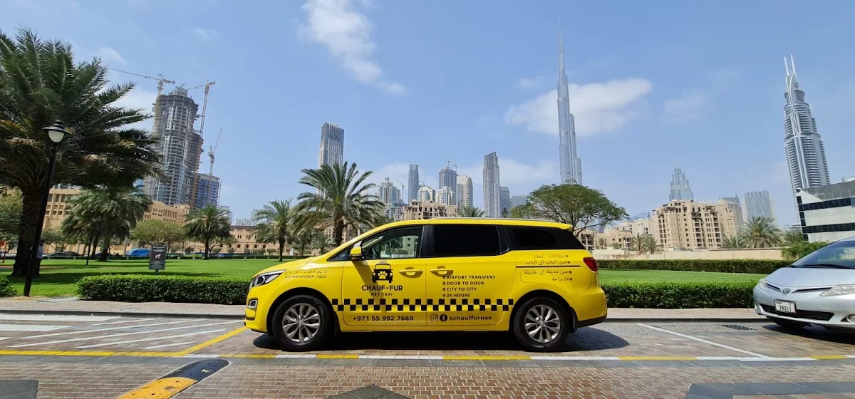 Chauf-fur Pet Taxi & Relocations