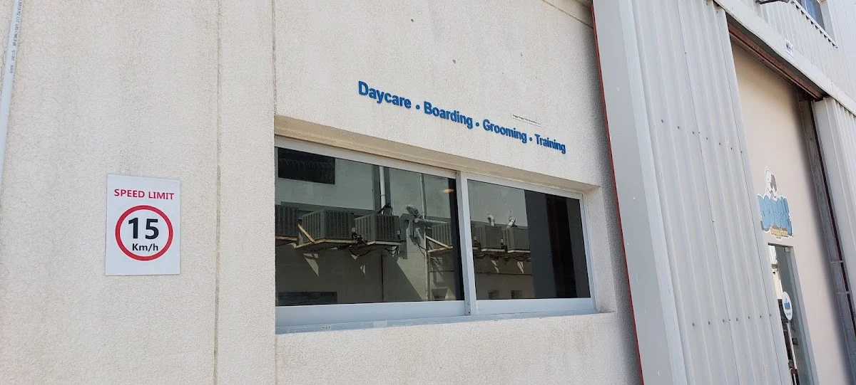 Doggy Doggy Home - Dubai | Daycare | Boarding | Grooming | Training - 2