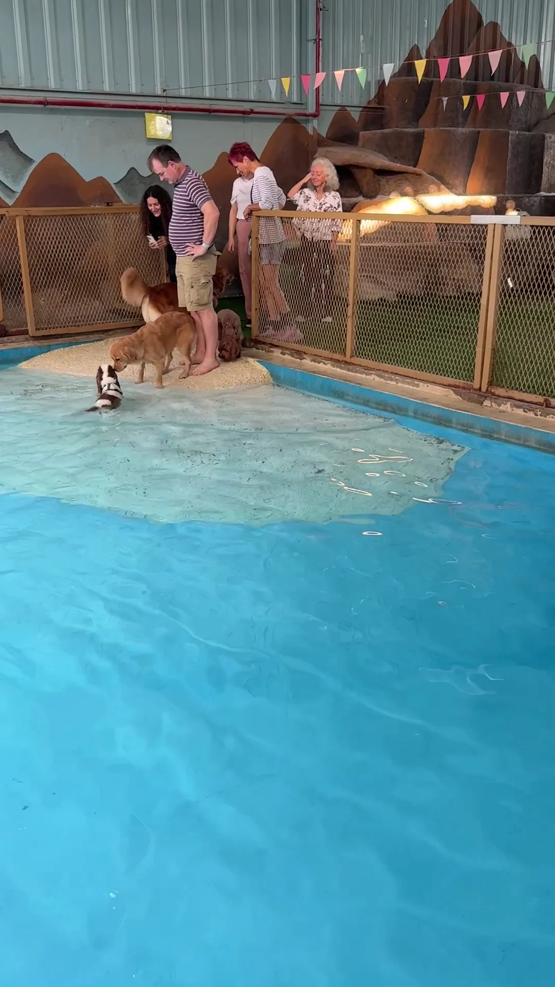 Dogventure HQ - Daycare, Boarding, Grooming & More - 2