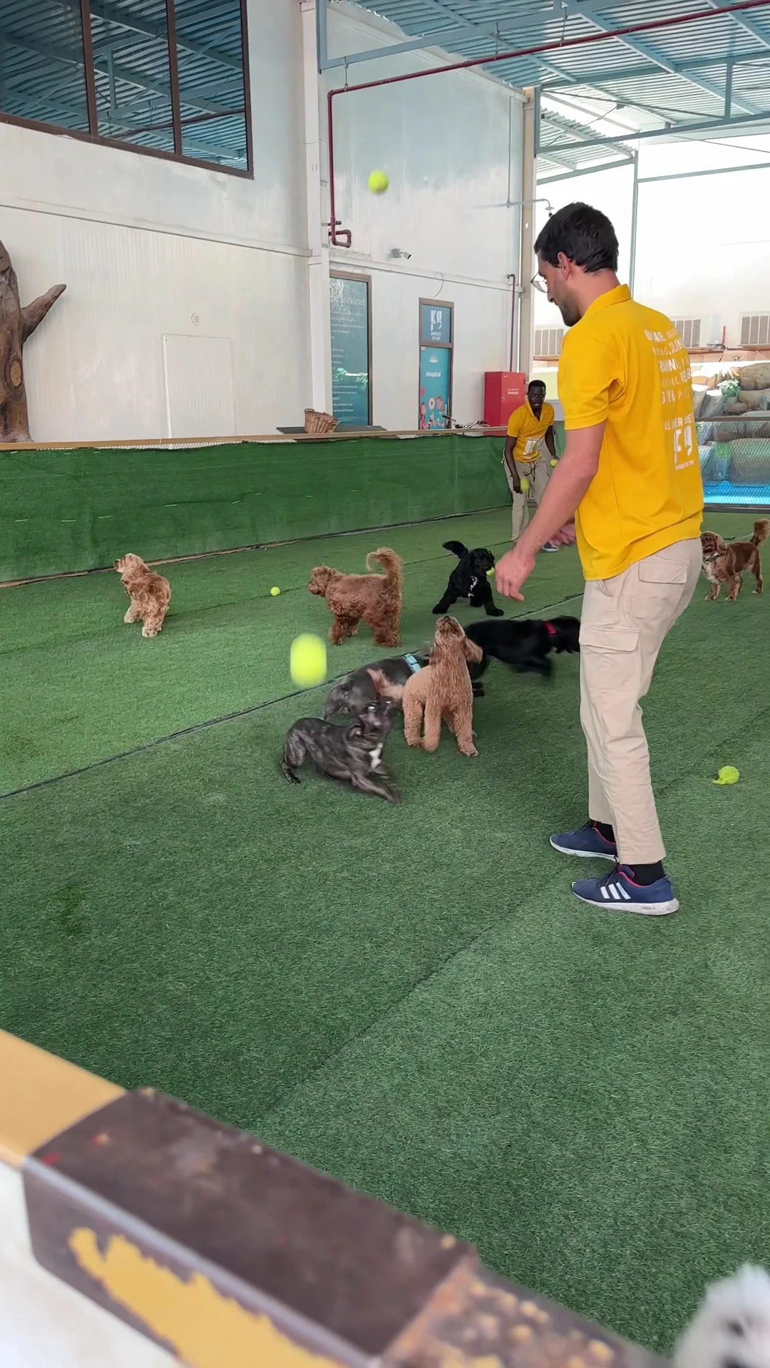 Dogventure HQ - Daycare, Boarding, Grooming & More - 4