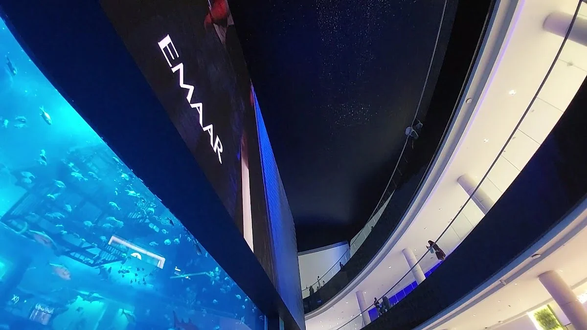 Dubai Aquarium & Underwater Zoo - 2