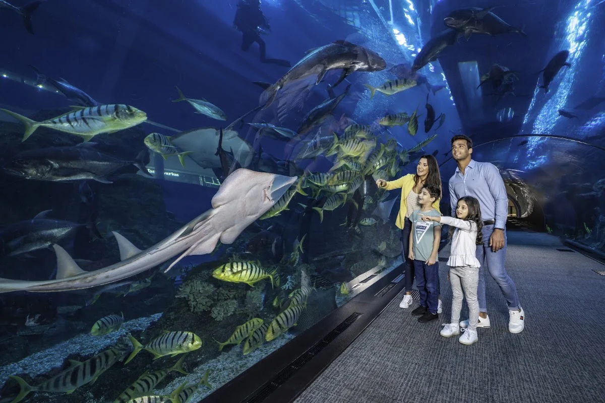 Dubai Aquarium & Underwater Zoo - 5