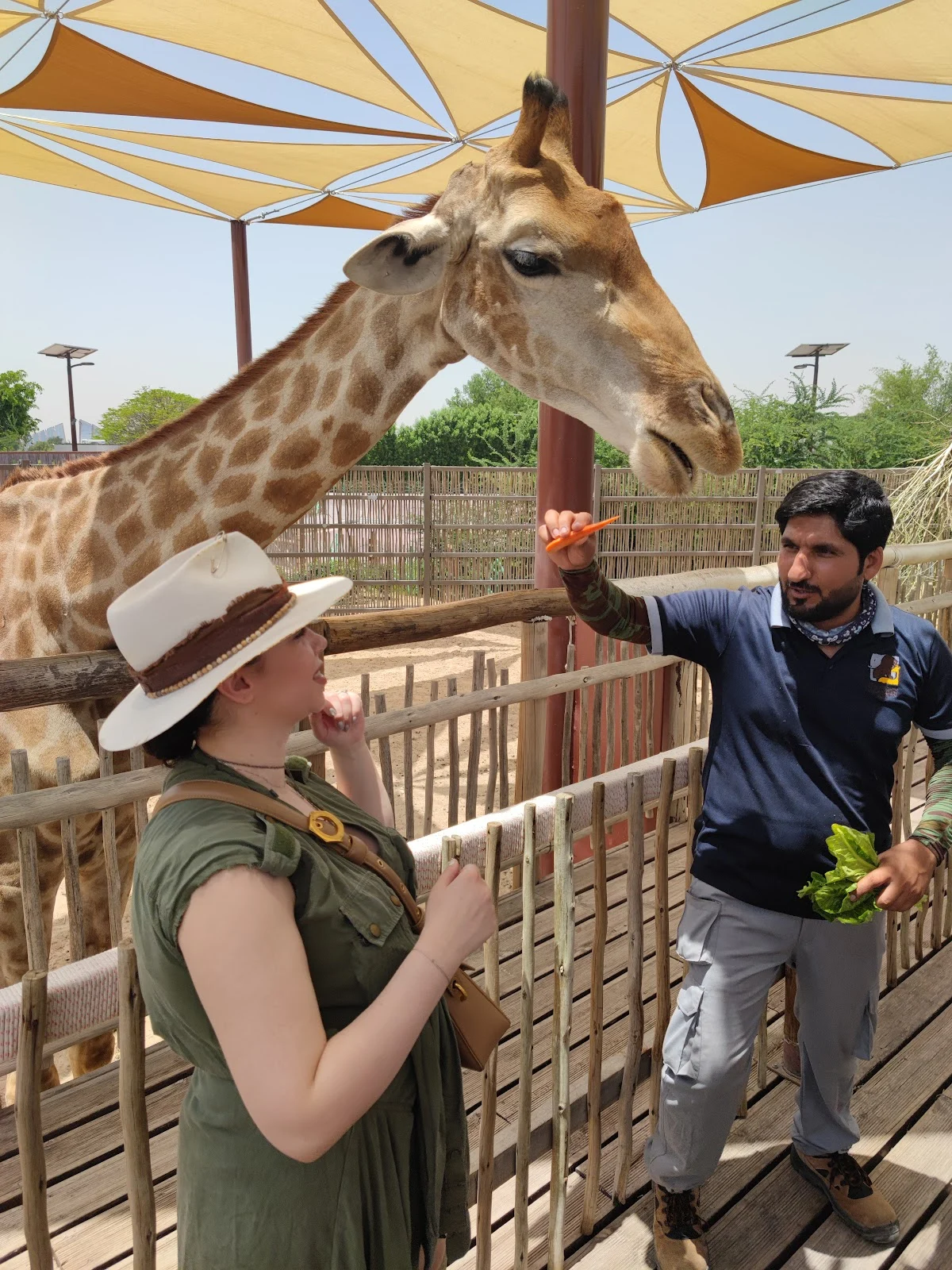 Dubai Safari Park - 7
