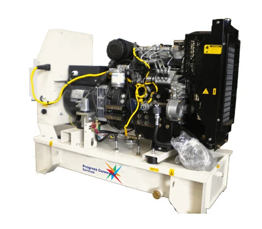Perkins Generator Technical Service - 3