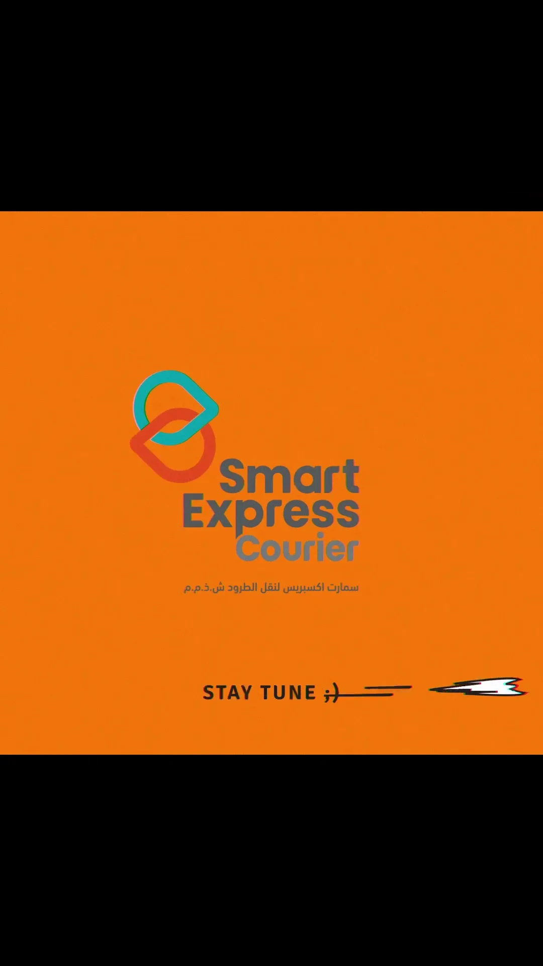 SMART EXPRESS COURIER SERVICES LLC - 3