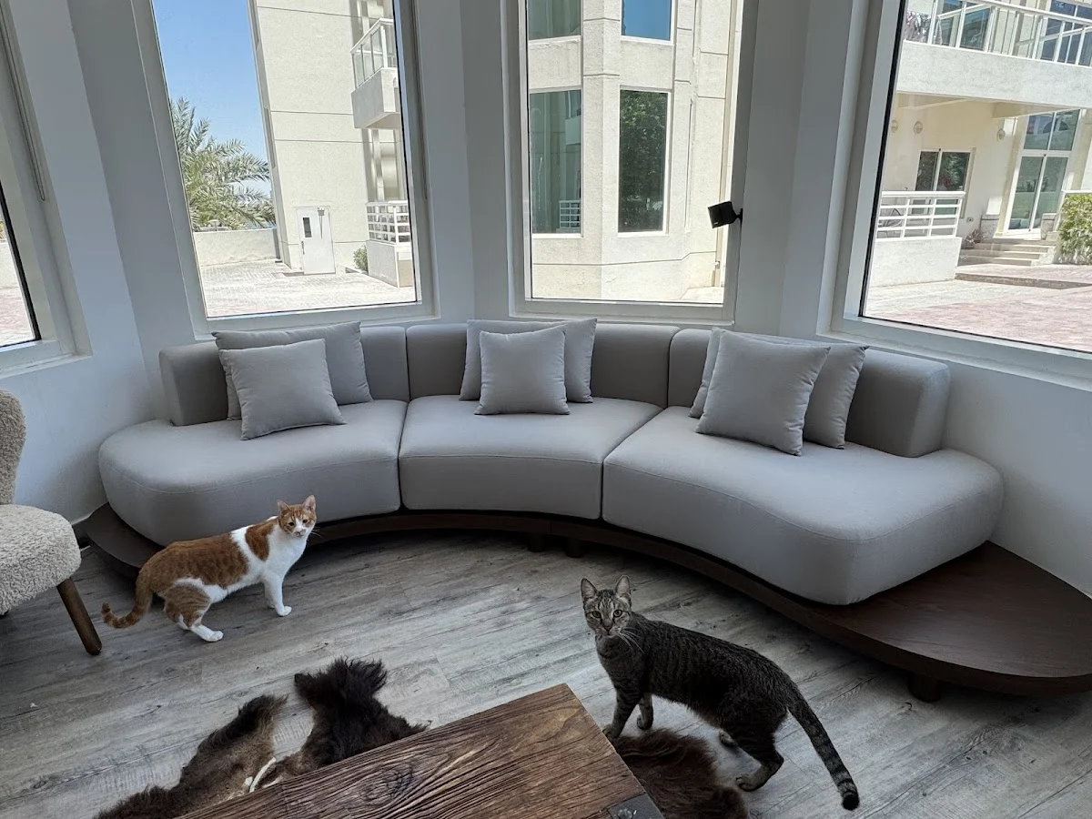 Sofa Master Dubai