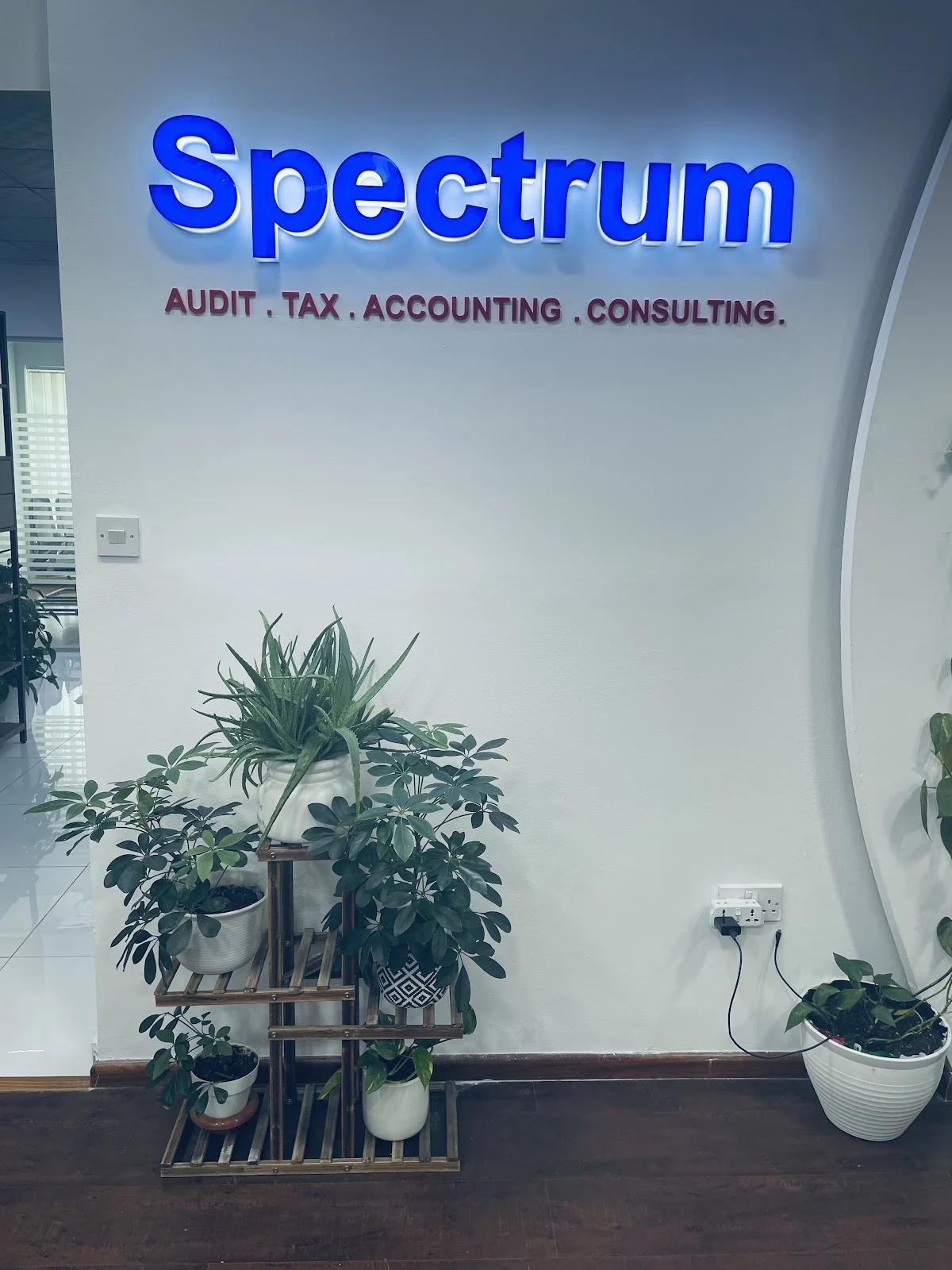 Spectrum Auditing